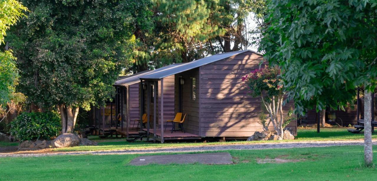 Dorrigo Mountain Holiday Park エクステリア 写真