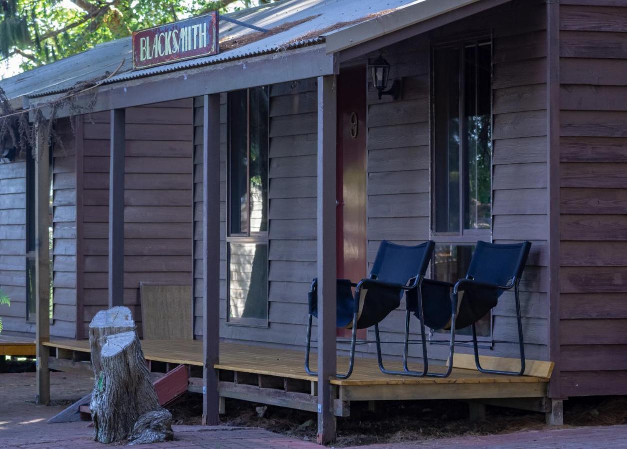 Dorrigo Mountain Holiday Park エクステリア 写真