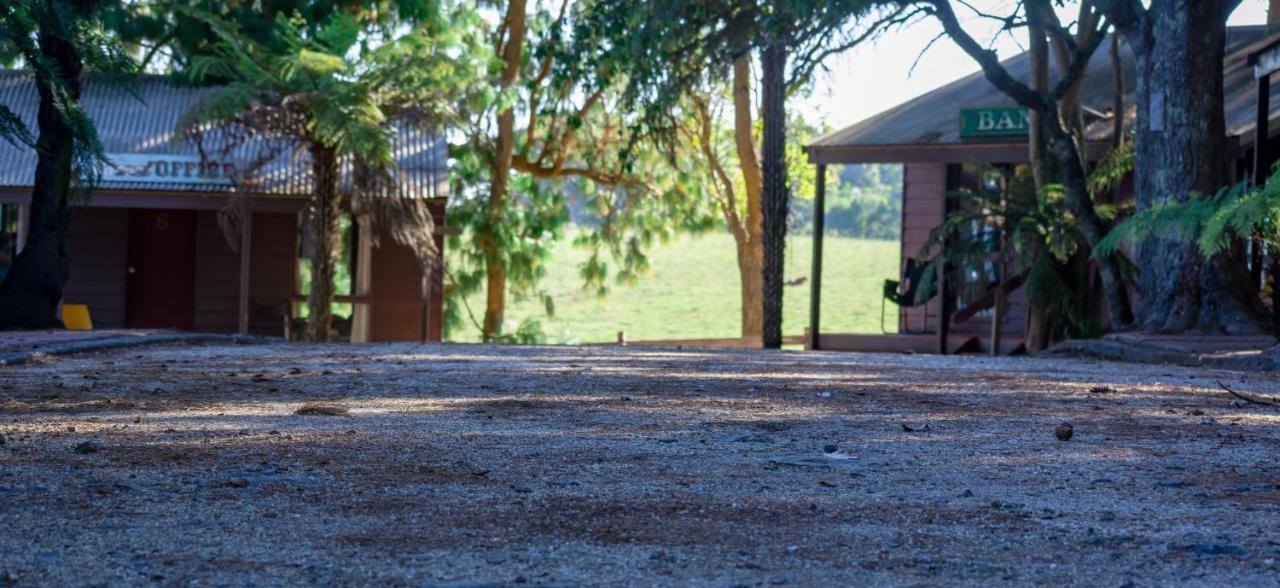 Dorrigo Mountain Holiday Park エクステリア 写真