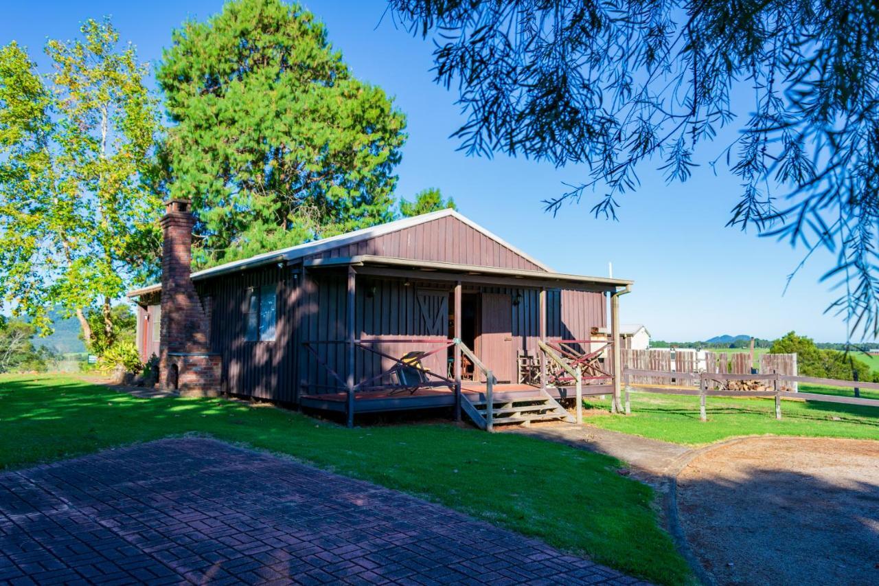 Dorrigo Mountain Holiday Park エクステリア 写真