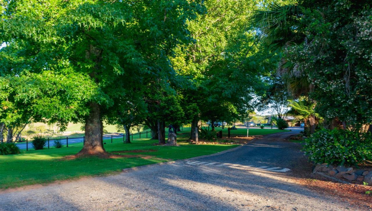 Dorrigo Mountain Holiday Park エクステリア 写真