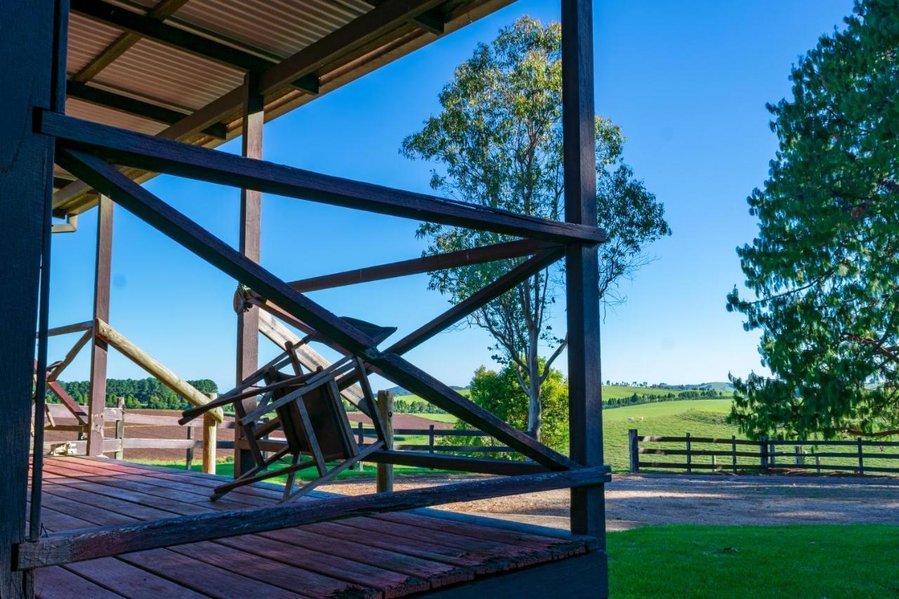 Dorrigo Mountain Holiday Park エクステリア 写真