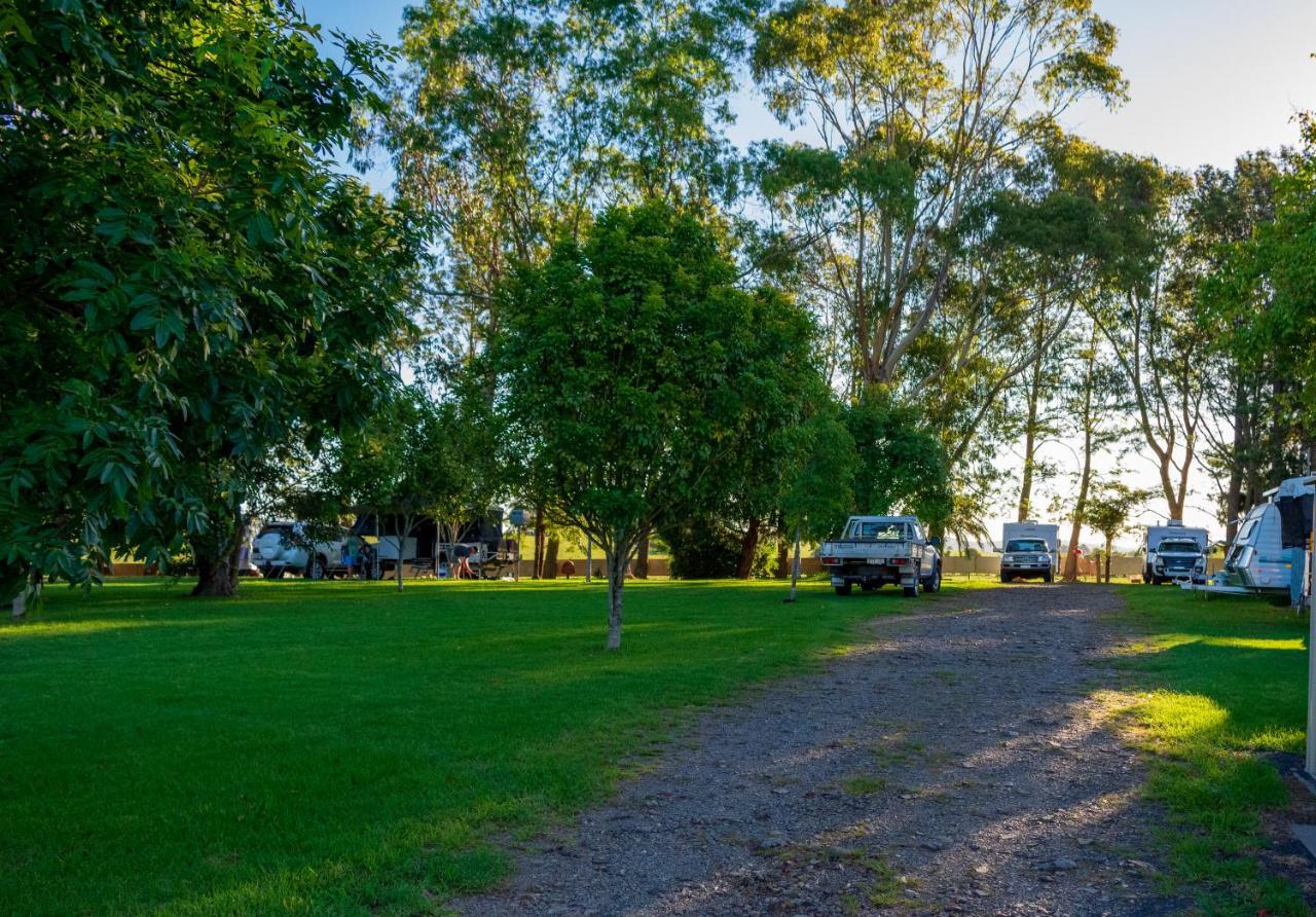 Dorrigo Mountain Holiday Park エクステリア 写真