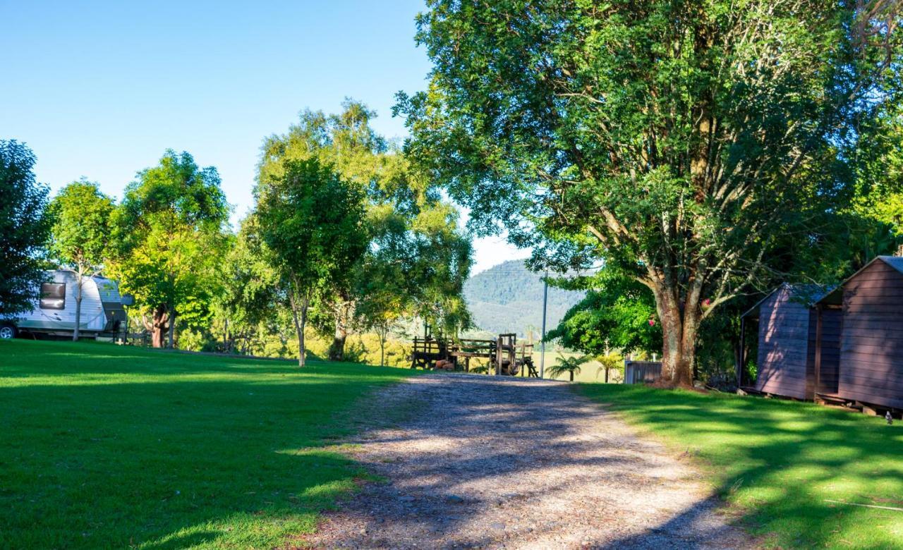 Dorrigo Mountain Holiday Park エクステリア 写真