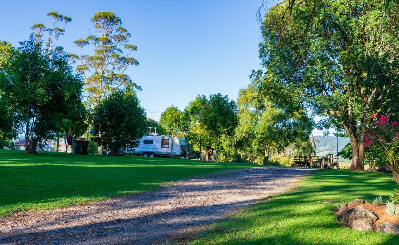 Dorrigo Mountain Holiday Park エクステリア 写真