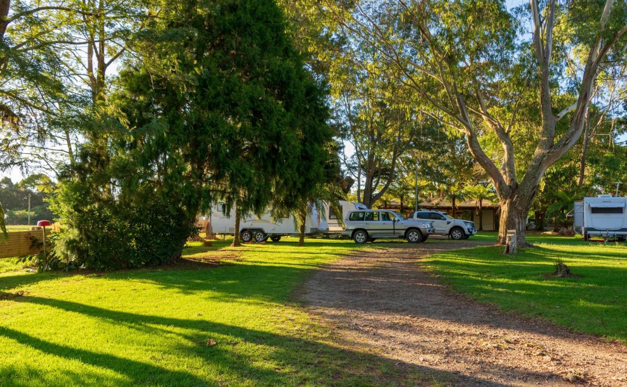 Dorrigo Mountain Holiday Park エクステリア 写真