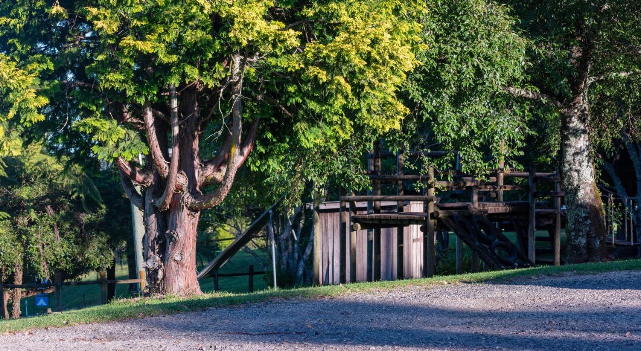 Dorrigo Mountain Holiday Park エクステリア 写真